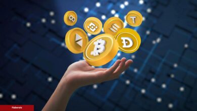 Bugün, O 39 Altcoin İçin Kritik: İşte Yaşanacakların Listesi