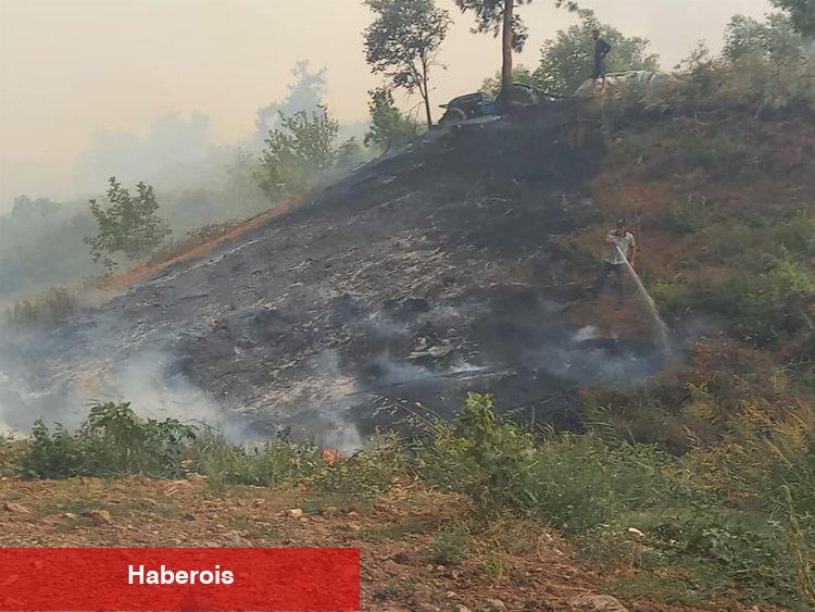 Bursa Mudanya'daki büyük orman yangını kontrol altına alındı