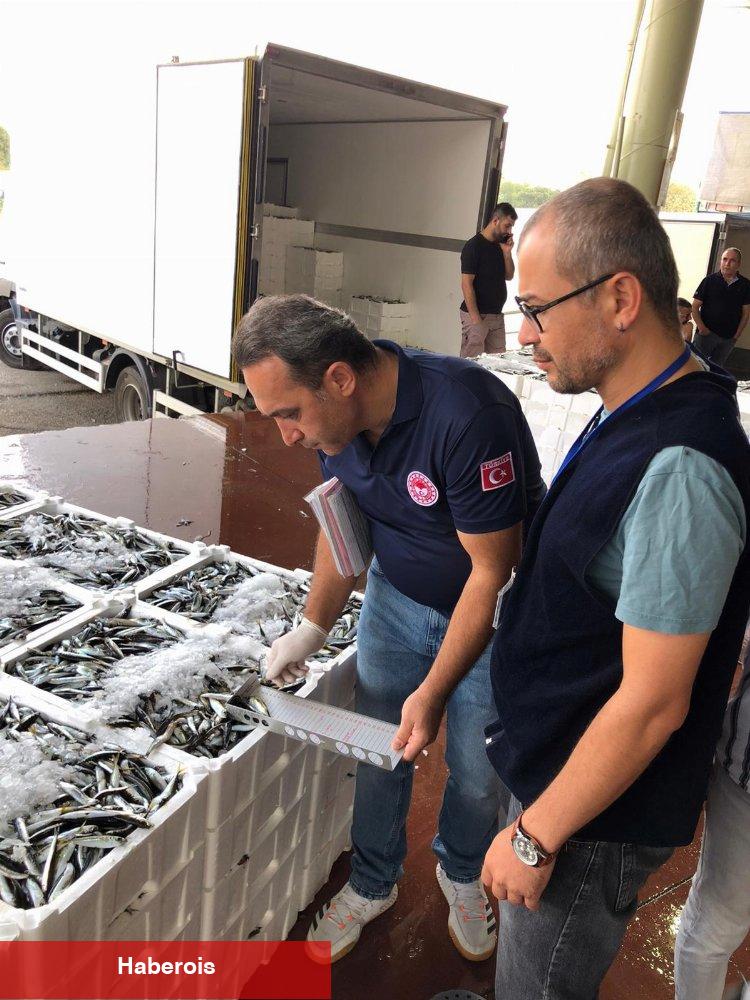Bursa'da 119 kasa istavrite el kondu!