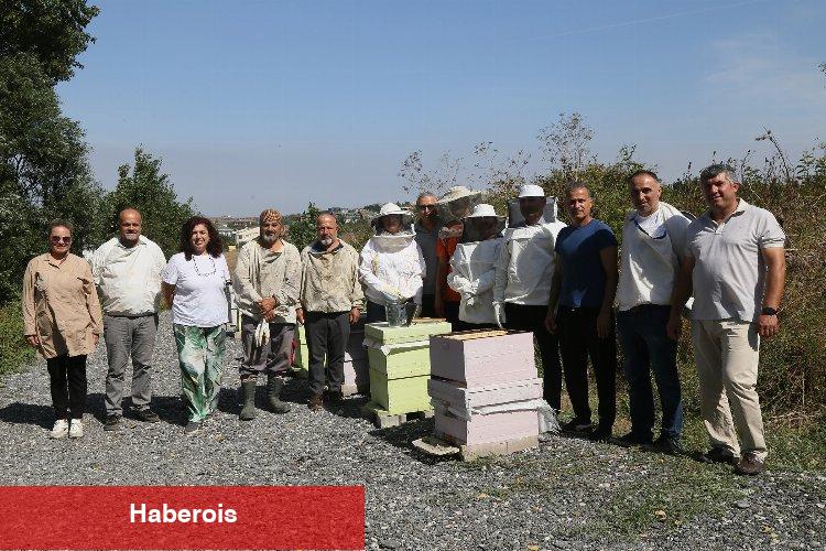 Büyükçekmece’de ilk bal hasadı gerçekleşti