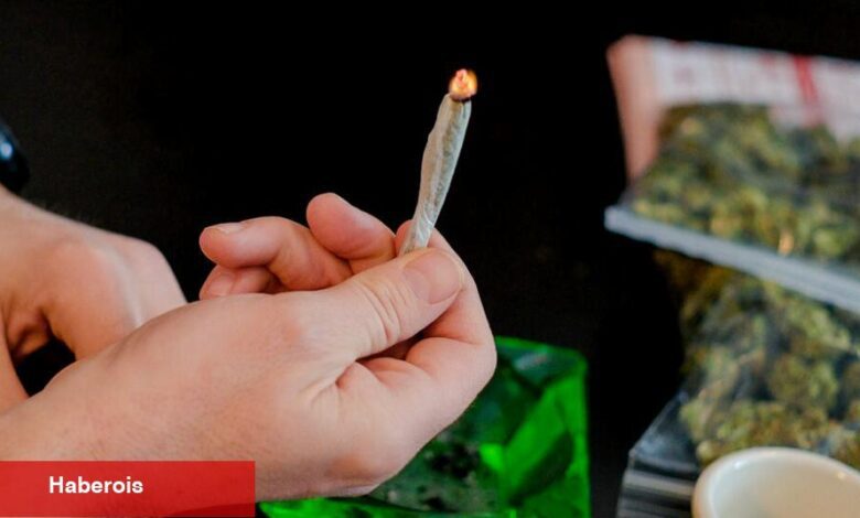 Çalışma Bulgularına göre Esrar Kullanıcıları Arasında Esrar Kullanım Bozukluğu 'Yaygın' - Haberois Çalışma Bulgularına göre Esrar Kullanıcıları Arasında Esrar Kullanım Bozukluğu 'Yaygın'