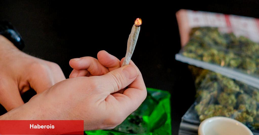 Çalışma Bulgularına göre Esrar Kullanıcıları Arasında Esrar Kullanım Bozukluğu 'Yaygın'