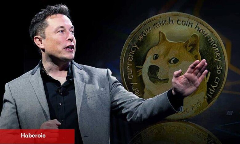 DOGE Neden Yükseliyor? Elon Musk Biyografisi Tesirli Oldu - Haberois DOGE Neden Yükseliyor? Elon Musk Biyografisi Tesirli Oldu