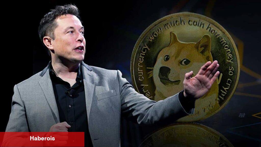 DOGE Neden Yükseliyor? Elon Musk Biyografisi Tesirli Oldu