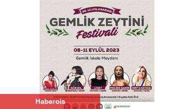 Gemlik'te zeytin festivali dolu dolu geçecek