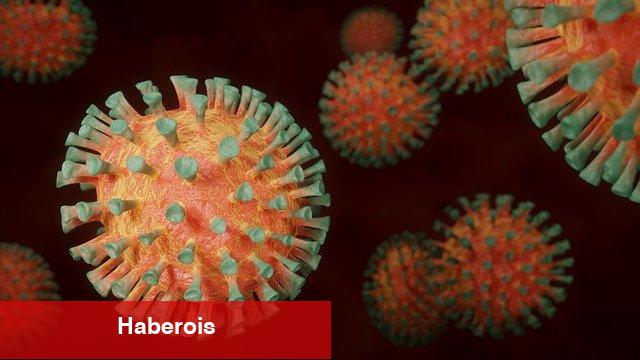 Koronavirüs Alt Varyantı Çıktı, Ne Yapmalı ? - Haberois Koronavirüs Alt Varyantı Çıktı, Ne Yapmalı ?
