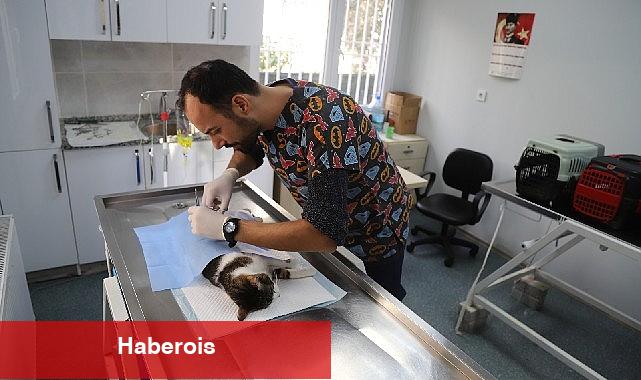 Menderes'te Can Dostlar Unutulmuyor - Haberois Menderes'te Can Dostlar Unutulmuyor