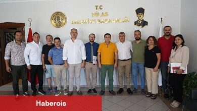 Milas'ta 12 bin bina tek tek incelenecek
