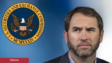 Ripple CEO’su SEC’e Sert Çıktı: Denetimden Çıktı!