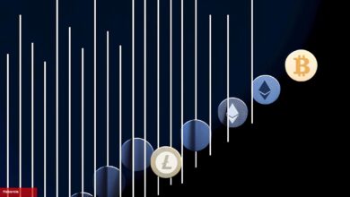 Santiment: Bu 6 Altcoin, Büyük Çöküş Sonrası Birinci Kere Büyüme Gösterdi!