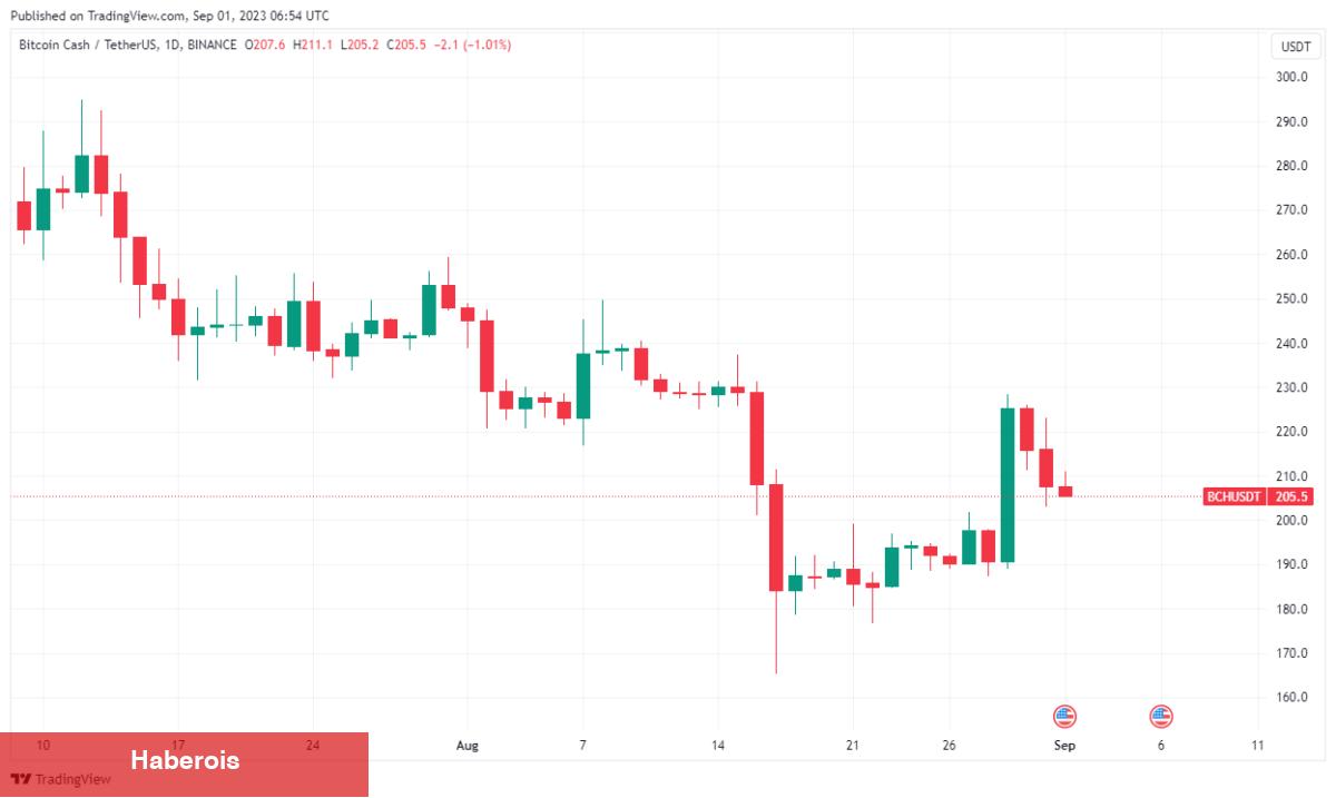 Santiment Onayladı! Kripto Balinaları Bu Haberi Evvelden Satın Alıyordu - Haberois Santiment Onayladı! Kripto Balinaları Bu Haberi Evvelden Satın Alıyordu