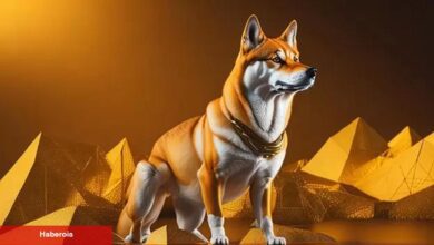 Shiba Inu Bir Eşiği Daha Aştı! SHIB Fiyatı Ay Sonunda Ne Olacak?