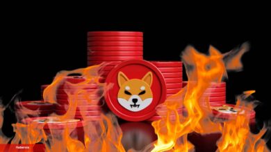 Shiba Inu Rallisi Mi Geliyor? Beklentileri Yükselten Atak