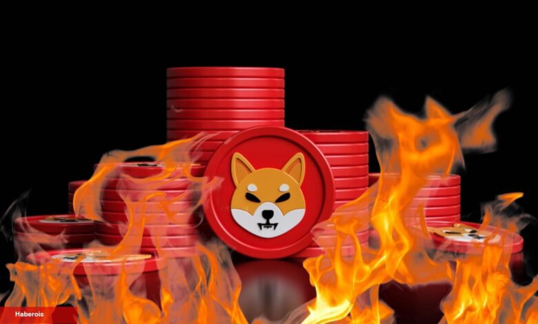 Shiba Inu Rallisi Mi Geliyor? Beklentileri Yükselten Atak - Haberois Shiba Inu Rallisi Mi Geliyor? Beklentileri Yükselten Atak