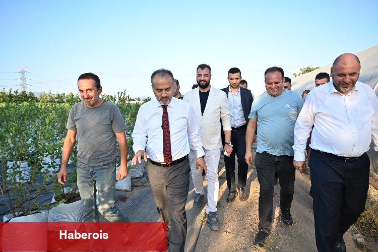 Tarım; Bursa'nın yükselen değeri