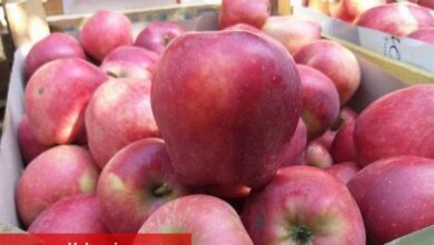 Üretici ile market farkı büyük... En fazla fiyat farkı elmada!