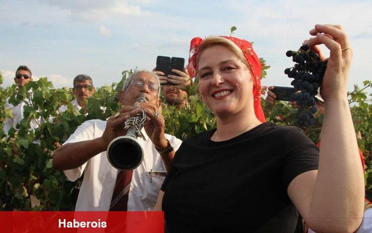 Uzunköprü'de davul zurna eşliğinde bağ bozumu - Haberois Uzunköprü'de davul zurna eşliğinde bağ bozumu