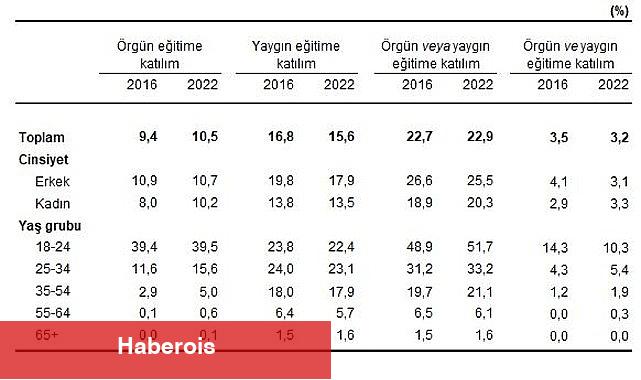 Yetişkinlerin örgün veya yaygın eğitime katılım oranı yüzde 22,9 oldu