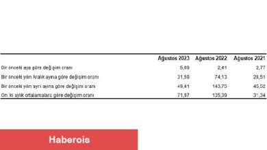Yurt İçi Üretici Fiyat Endeksi (Yİ-ÜFE) yıllık yüzde 49,41, aylık yüzde 5,89 arttı