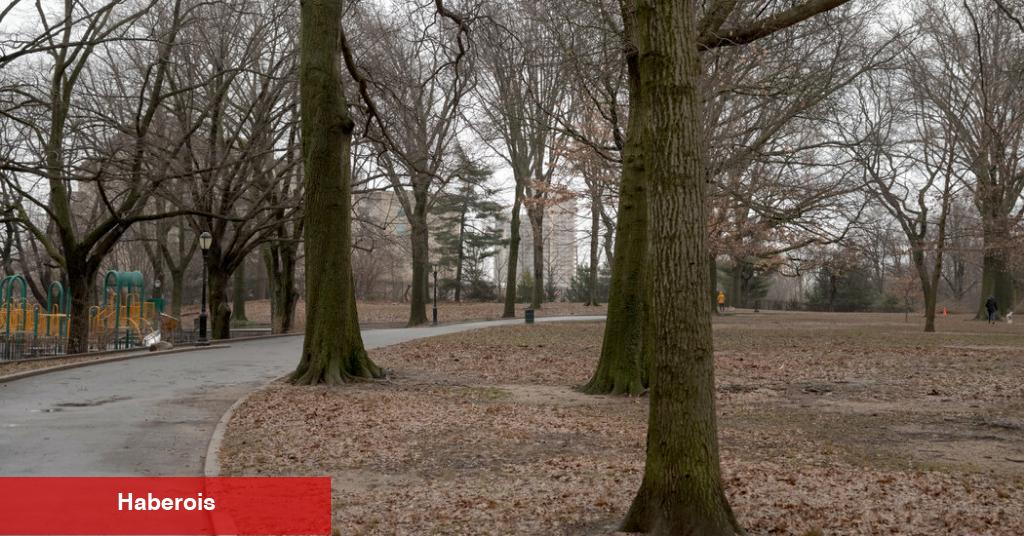 Brooklyn'de Park Alanında Kaykay Yapımı İçin Mücadele