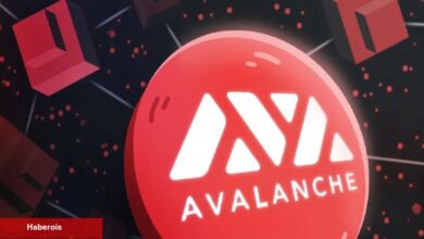 Avalanche, Hızlandırıcı Programında Birinci Kümesi Seçti: Bu 15 Proje Var!