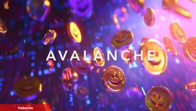 Avalanche ‘Meme Coin Rush’ı Başlattı: 1 Milyon Dolarlık Ödül!
