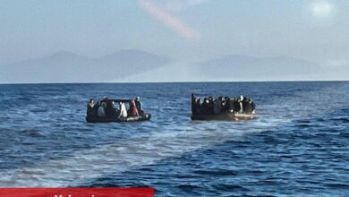 Aydın, İzmir ve Muğla'da 74 düzensiz göçmen kurtarıldı