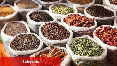 Baharat sektörü 2024 yılına güçlü başladı