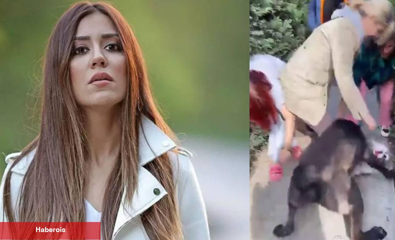 Banu Parlak'ın köpeği dehşet saçtı! Komşusunun köpeğini parçaladığı anlar