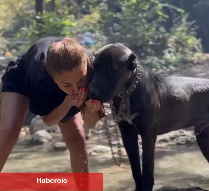 Banu Parlak'ın köpeği dehşet saçtı! Komşusunun köpeğini parçaladığı anlar