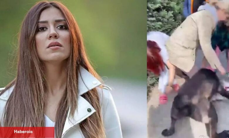 Banu Parlak'ın köpeği dehşet saçtı! Komşusunun köpeğini parçaladığı anlar - Haberois Banu Parlak'ın köpeği dehşet saçtı! Komşusunun köpeğini parçaladığı anlar