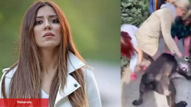 Banu Parlak'ın köpeği dehşet saçtı! Komşusunun köpeğini parçaladığı anlar