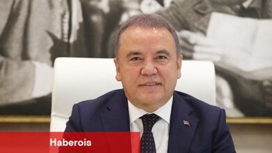 Başkan Muhitin Böcek 8 Mart Dünya Kadınlar Günü Mesajı