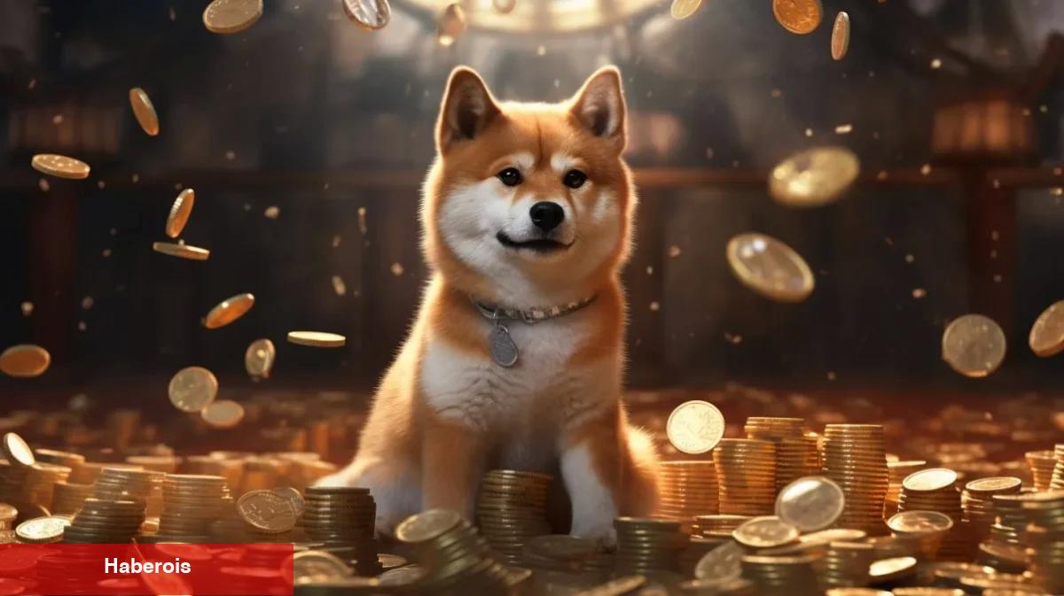  Binance de Duyurdu: BONK, WIF ve O 12 Coin İçin 8 Borsadan Listeleme Müjdesi!