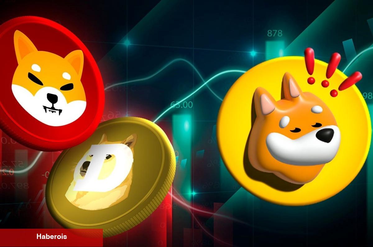 Binance de Duyurdu: BONK, WIF ve O 12 Coin İçin 8 Borsadan Listeleme Müjdesi!