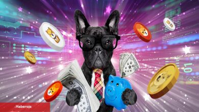 Bir Trader 4 Göğüs Coin İle Rekor Kar Etti: CryptoQuant CEO’su Rahatsız!