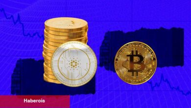 Bitcoin Duraksadı: ADA, SHIB ve Bu 7 Coin Sıçrama Yaptı!