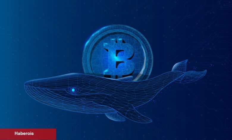 Bitcoin ve O 4 Altcoin, Balinaların Odağında: Al-Sat Yapıyorlar! - Haberois Bitcoin ve O 4 Altcoin, Balinaların Odağında: Al-Sat Yapıyorlar!