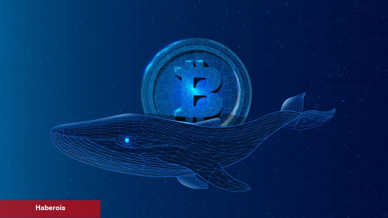 Bitcoin ve O 4 Altcoin, Balinaların Odağında: Al-Sat Yapıyorlar!