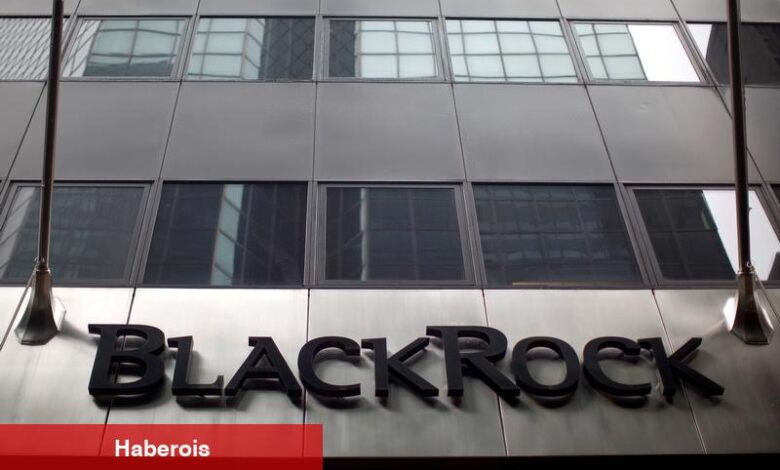 BlackRock’ın BUIDL fonu ilk haftada 240 milyon dolar topladı - Haberois BlackRock’ın BUIDL fonu ilk haftada 240 milyon dolar topladı