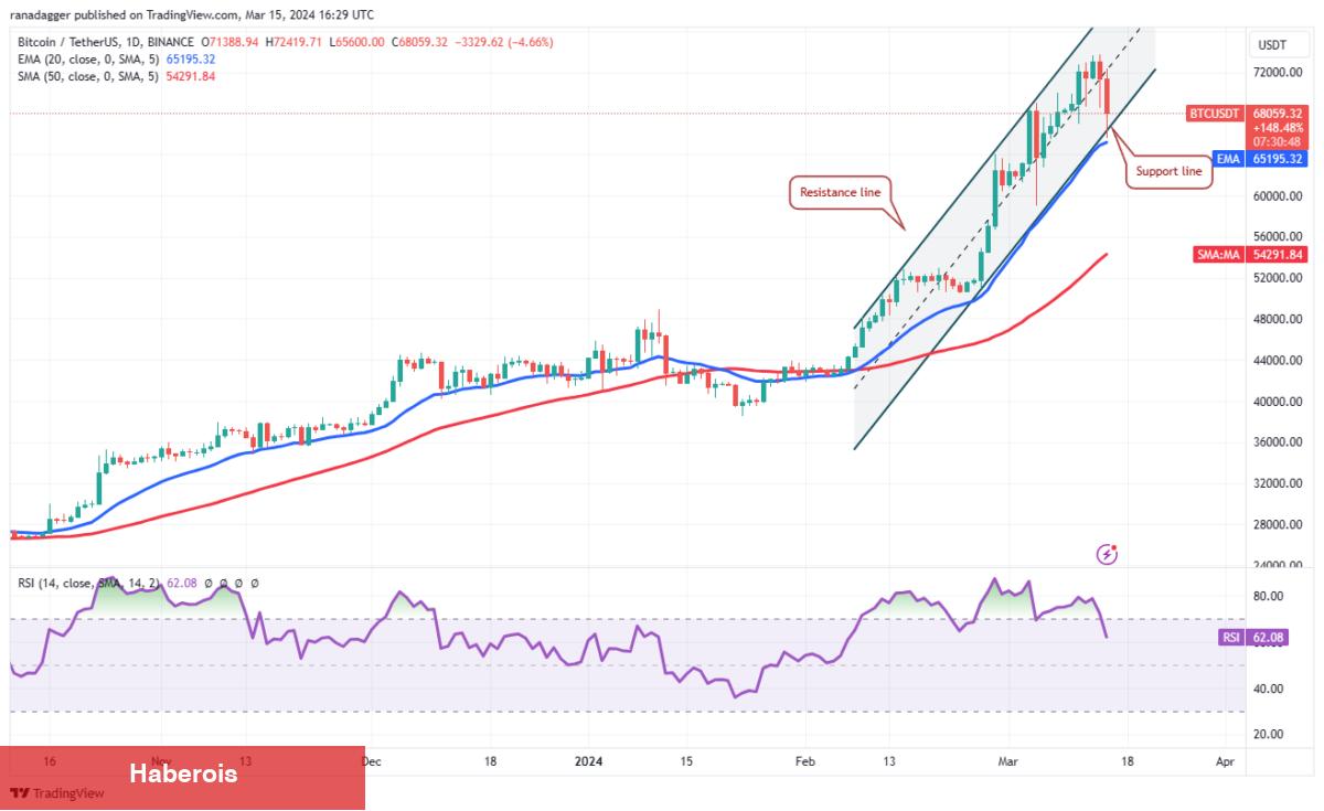 BNB, SHIB, ADA, XRP Coin ve Bu 6 Coin İçin Al-Sat Seviyeleri!