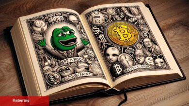 BOME Coin Çılgınlığı, Kullanıcılara 3 Milyon Dolara Patladı! İşte Olanlar