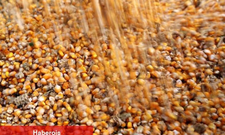 Brezilya soya ve mısır tahminleri hava koşulları nedeniyle farklılaşıyor - Haberois Brezilya soya ve mısır tahminleri hava koşulları nedeniyle farklılaşıyor