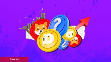 Bu Göğüs Coin Dev İştiraki Duyurdu: Tokenlerin Fiyatı Fırladı!