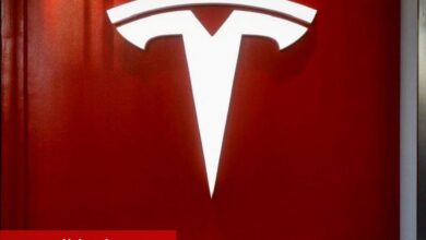 Cathie Wood'un ARK'ı 14 milyon doların üzerinde Tesla hissesi satın aldı, son işlemlerde Coinbase'i sattı
