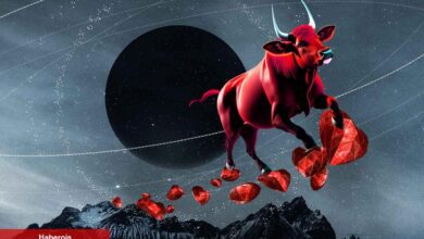 Coinbase, Bu Altcoin’lerdeki Ralliye Karşı Uyardı!