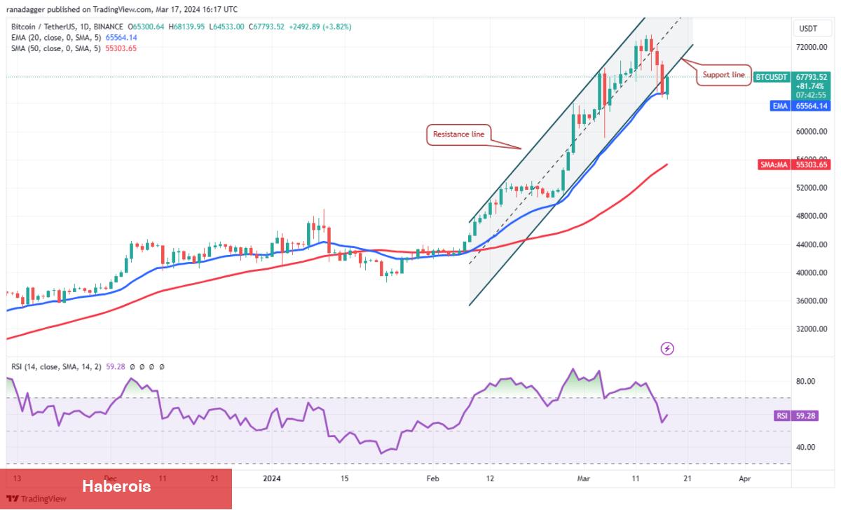 Deneyimli Analist: Bu 4 Altcoin Daha Fazla Yükselişe Hazırlanıyor! - Haberois Deneyimli Analist: Bu 4 Altcoin Daha Fazla Yükselişe Hazırlanıyor!
