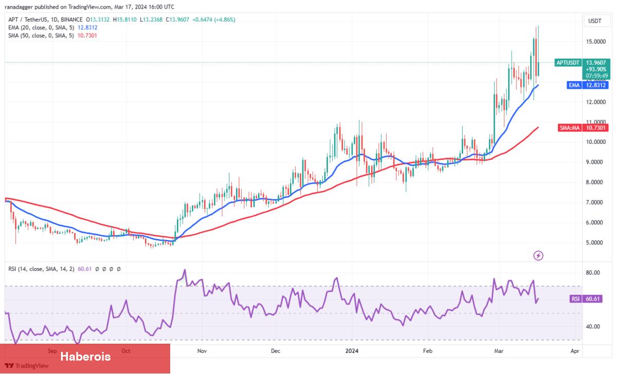 Deneyimli Analist: Bu 4 Altcoin Daha Fazla Yükselişe Hazırlanıyor! - Haberois Deneyimli Analist: Bu 4 Altcoin Daha Fazla Yükselişe Hazırlanıyor!
