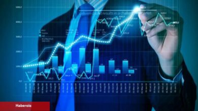 Deneyimli Analist: Bu 4 Altcoin Daha Fazla Yükselişe Hazırlanıyor!