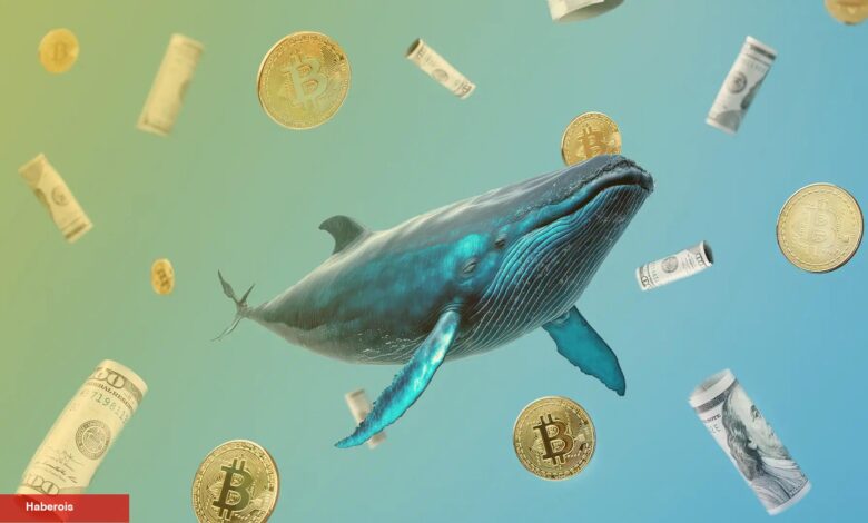 Dev Balinalar, RNDR Coin ve Bu 2’sini Borsalardan Çekiyor! - Haberois Dev Balinalar, RNDR Coin ve Bu 2’sini Borsalardan Çekiyor!